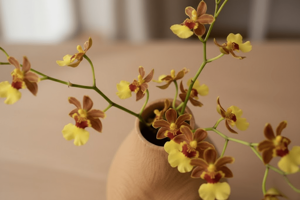 Echo — Sculptural Vase - Verve & VerseEcho — Sculptural Vase